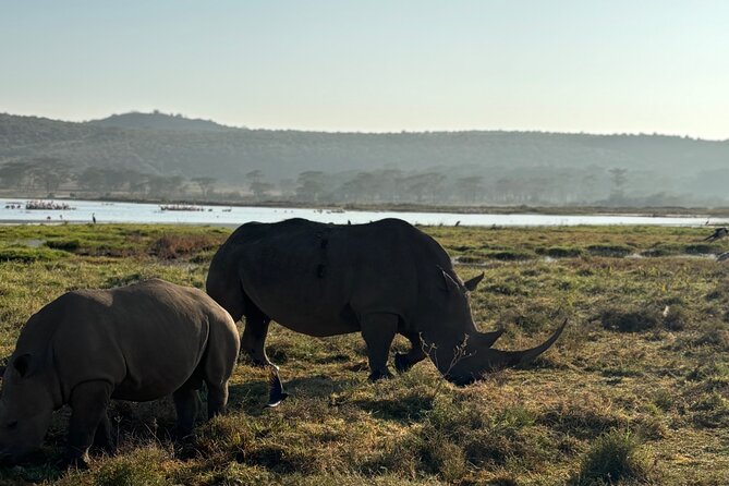4 Days 4WD Private Maasai Mara, Nakuru Parks with Lodge LUXURY - The 4WD vehicle and guide make a real difference
