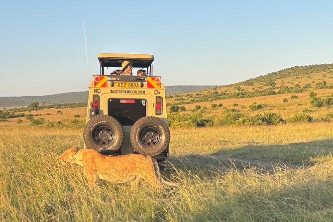 4 Days 4WD Private Maasai Mara, Nakuru Parks with Lodge LUXURY - Food, lodging, and the comfort trade-off
