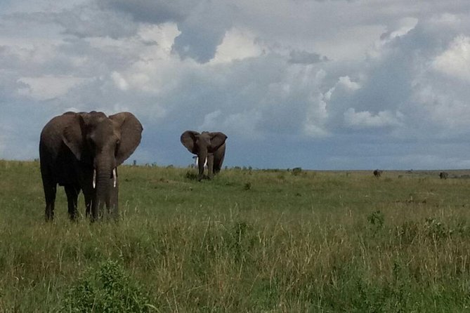 4 Days Amazing Maasai Mara and Lake Nakuru Budget Safari - What to budget beyond the advertised price