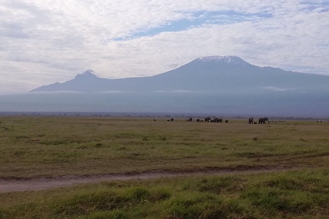 4 Days Amboseli & Tsavo West Wildlife Safari - Key points at a glance