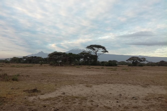 4 Days Amboseli & Tsavo West Wildlife Safari - Why this safari works in four days