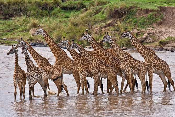4-Days Best Wildlife Safari: Amboseli, Tsavo West & Tsavo East Private Safari - Why this four-day route works