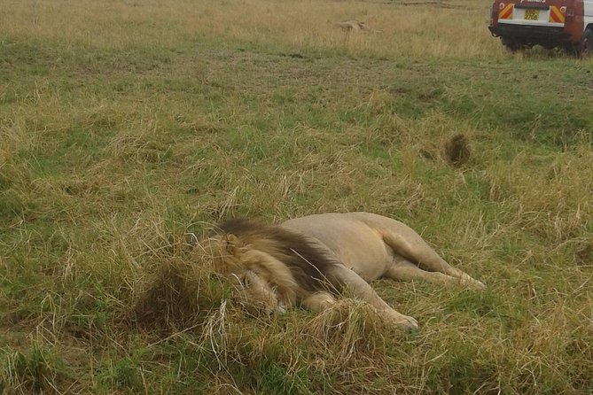 4 days group joining budget safari to Maasai Mara only - What the basic accommodation means