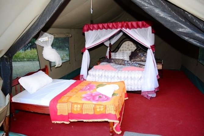 4 Days Group Joining Budget Safari To Masai Mara And Lake Nakuru National Park - Three hours among Lake Nakuru’s rhinos