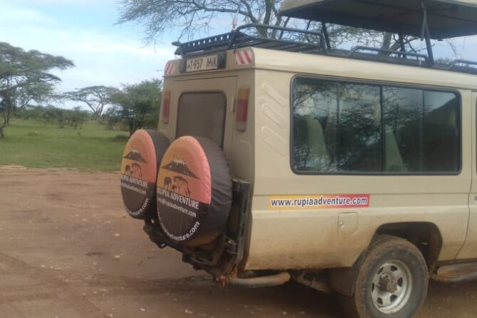 4 Days Kenya Safari - What the private format changes
