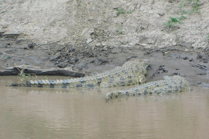 4 Days Kilimanjaro Experience - Mombasa - Day 1: From Mombasa to Amboseli and the Kilimanjaro view