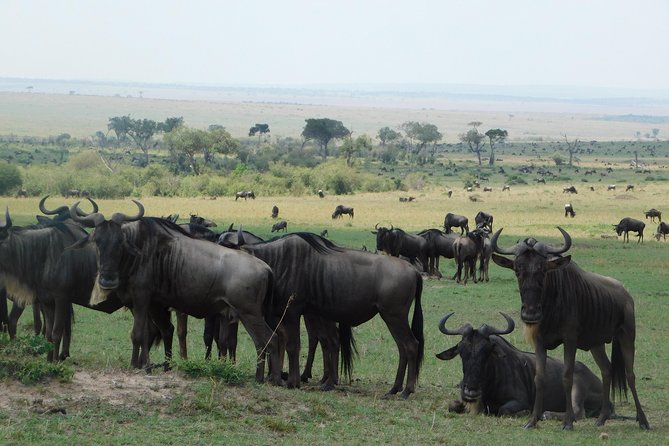 4 Days Kilimanjaro Experience - Mombasa - What the $1,250 price really covers