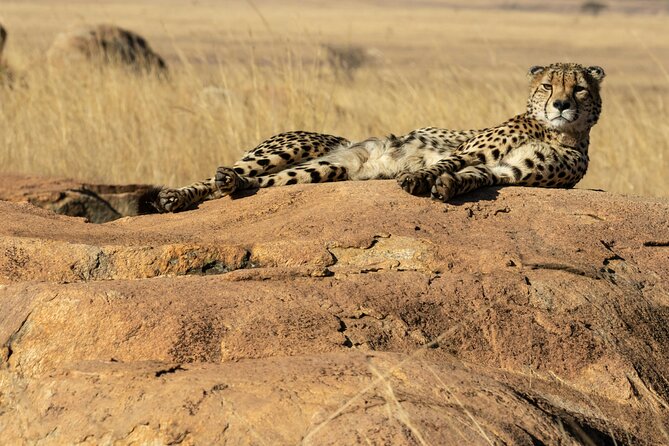 4 Days Lake Nakuru and Masai Mara Luxury Safari - What Makes This Safari Worth Considering