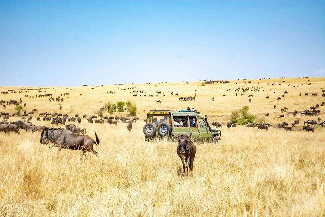 4 Days Lake Nakuru and Masai Mara Luxury Safari - Day 2: Crossing Into the Masai Mara
