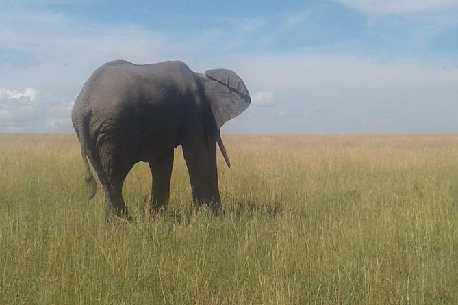 4 Days Maasai Mara and Lake Nakuru Unforgettable Safari - The long transfer to Lake Nakuru