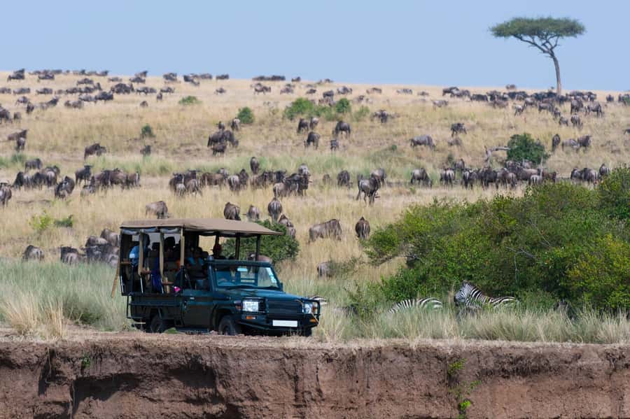4 Days Masai Mara and Lake Nakuru Budget Safari - What the $545 safari really includes