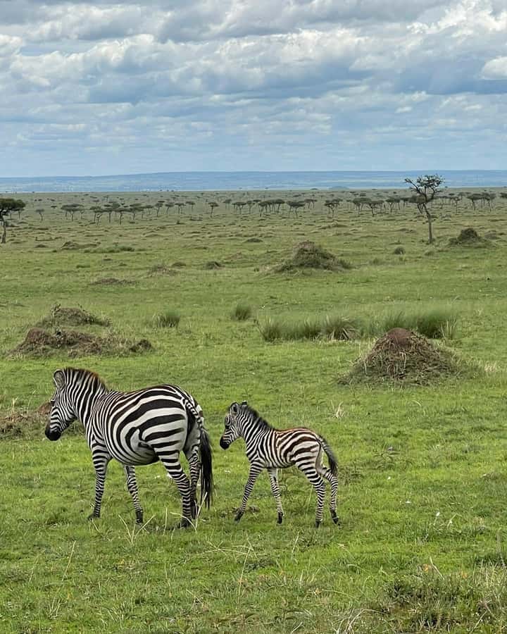 4 Days Masai Mara and Lake Nakuru Budget Safari - Who will enjoy this safari most