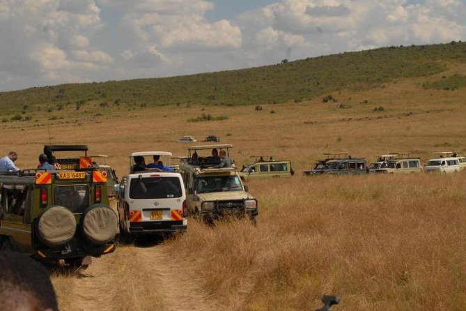4 Days Masai Mara and Lake Nakuru Budget Safari Meals included - Day 4: Rhinos, Rothschild giraffes, and Lake Nakuru birds