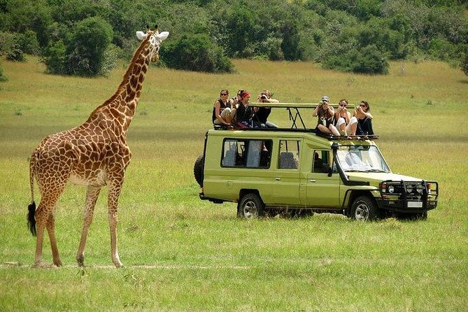 4 Days Masai Mara and Lake Nakuru Luxury Safari on 4x4 Jeep - The 4x4 Jeep and Guide Make the Difference