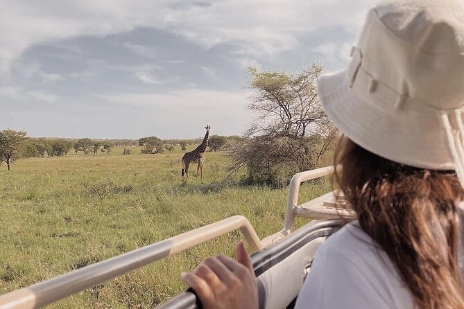 4 Days Masai Mara and Lake Nakuru Mid-Luxury safari - Day 1: Lake Nakuru and the search for rhino