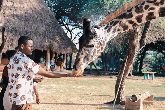 4 Days Masai Mara and Lake Nakuru National Park Private Luxury Safari - Day 2: A full day across Maasai Mara