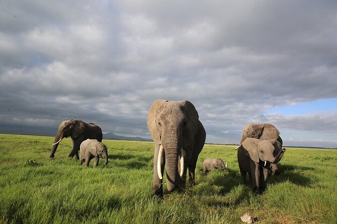 4 Days Masai Mara and Lake Nakuru Shared Camping Safari - The long transfer from the Mara to Lake Nakuru