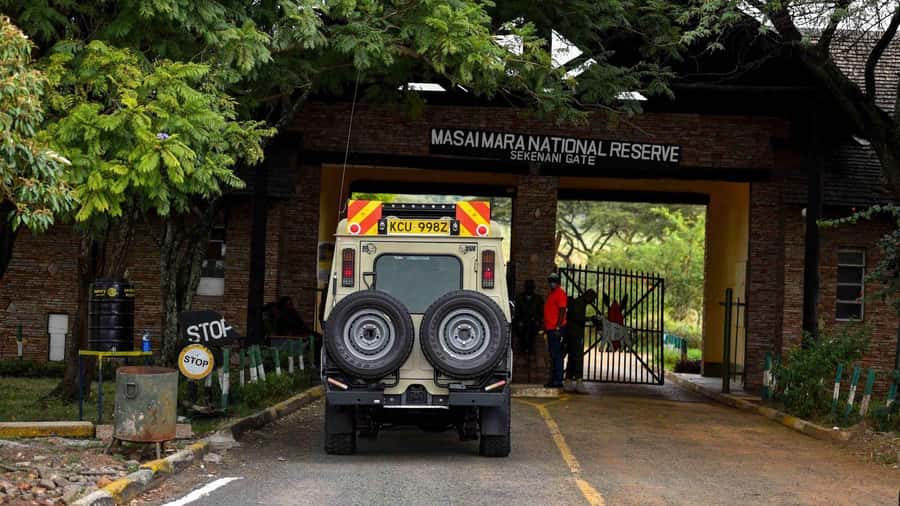 4 Days Masai Mara And Lake Nakuru Wildlife Safari - FAQ