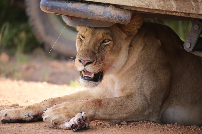 4 Days Masai Mara Lake Nakuru Jeep Safari - Day three: the long transfer to Lake Nakuru