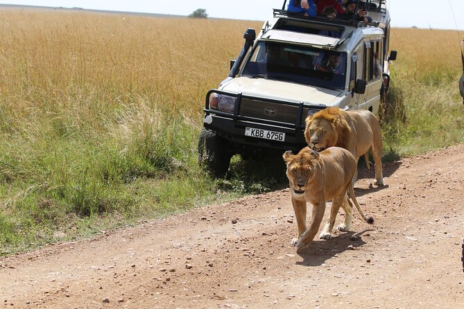 4 Days Masai Mara Lake Nakuru Jeep Safari - Day four: Lake Nakuru before returning to Nairobi