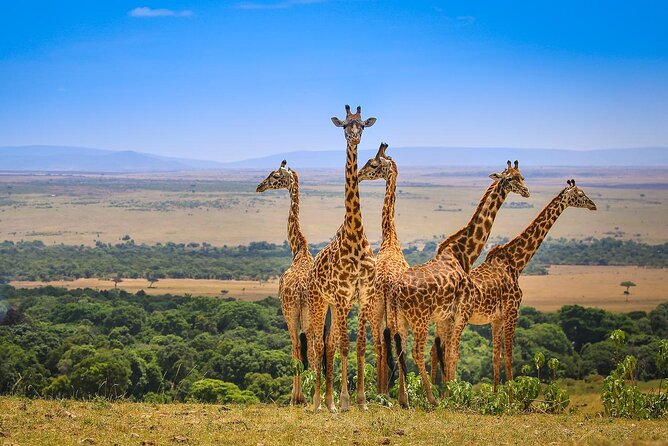 4 days masai mara Nakuru Joining safari - Entering Masai Mara National Reserve