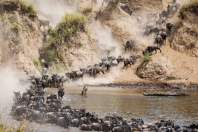 4 Days Mid Luxury Safari, Lake Nakuru and Masai Mara. - What the $2,200 price includes
