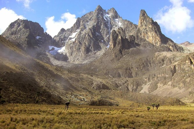 4 Days Mount Kenya Trekking - Key points to know before you book
