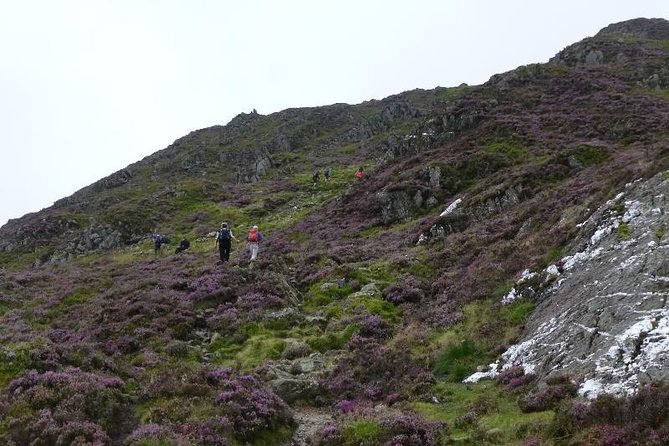 4 Days Mount Kenya - Key details that shape the climb