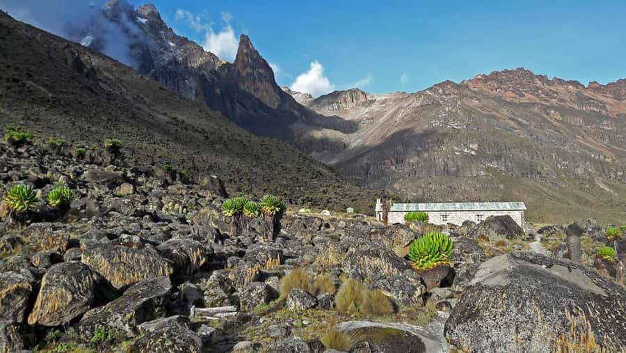 4 Days Mt Kenya Climbing & Hiking Expeditions: Sirimon Route - Key points to know before you book