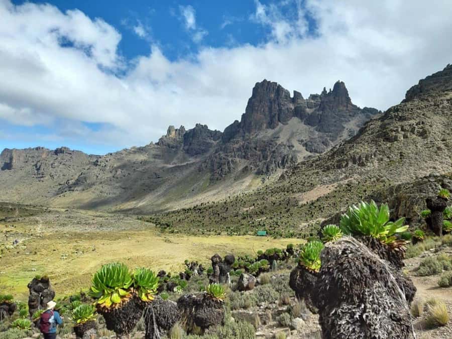4 Days Mt Kenya Climbing & Hiking Expeditions: Sirimon Route - Day one: Nairobi to Old Moses Camp through the forest