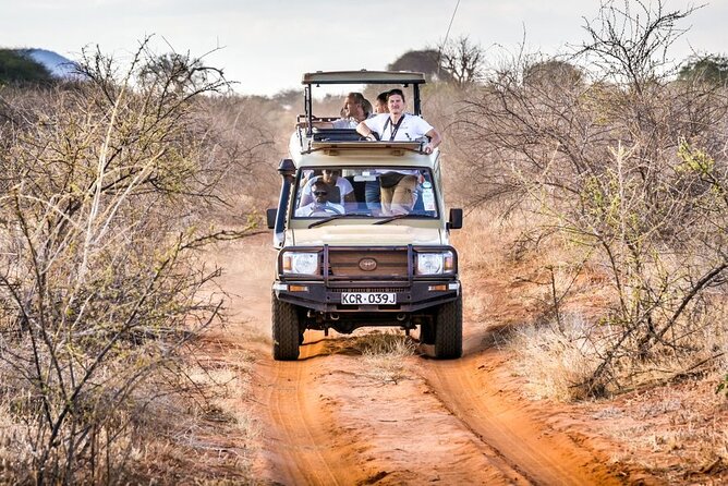 4 Days Private Safari Tour Tsavo and Amboseli from Nairobi - Key points at a glance