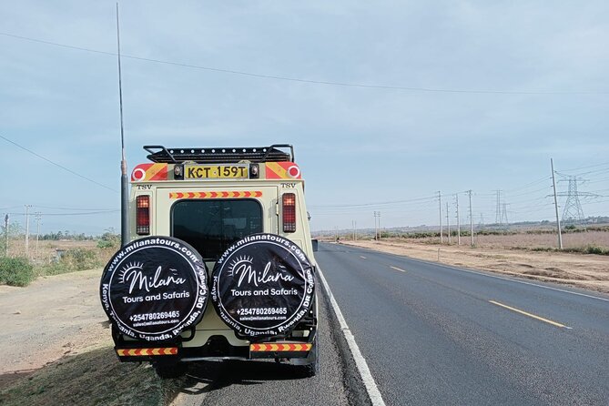 4 Days Private Safari Tour Tsavo and Amboseli from Nairobi - Day 4: A final Amboseli morning and the road to Nairobi