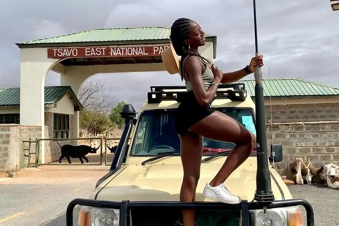4 Days Private Safari Tour Tsavo and Amboseli from Nairobi - What the private Land Cruiser adds