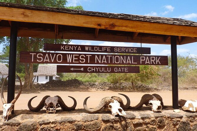 4 Days Private Safari Tour Tsavo and Amboseli from Nairobi - Day 1: Tsavo East and the wildlife around Aruba Dam