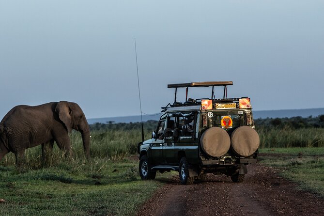 4 Days Safari from Mombasa to Amboseli and Tsavo West and East - What the Four-Day Route Really Gives You