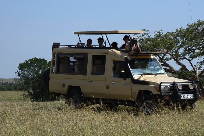 4 Days Safari Lake Nakuru NP Naivasha and Masai Mara - Day four: One final drive, then back to Nairobi