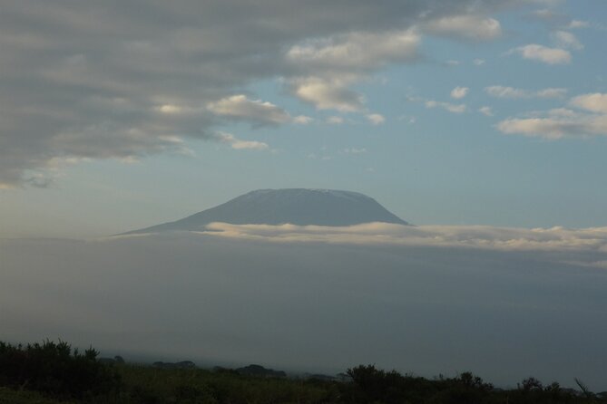 4 Days Safari to Amboseli N/P, Tsavo East N/P. - Day four: sunrise, predators, and the road to Mombasa