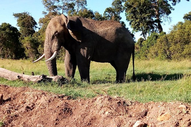 4-days safari: Tsavo east, west and Amboseli national parks - Day 1: Tsavo East and the search for red elephants