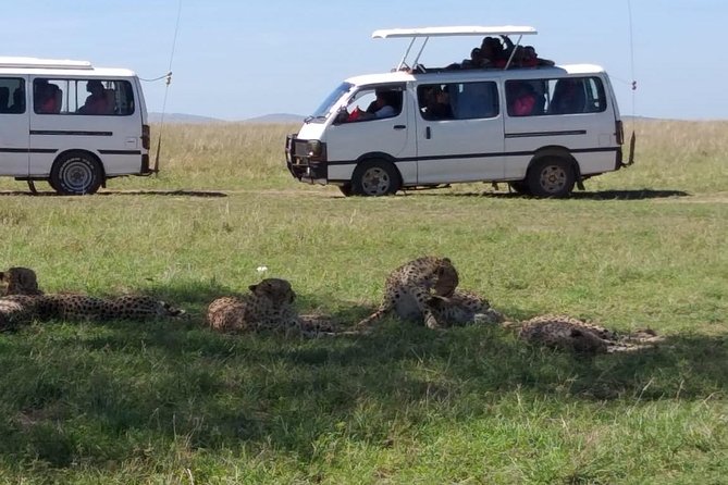 4 Days Small Group Maasai Mara and Lake Nakuru Safari - What the pop-top vehicle adds