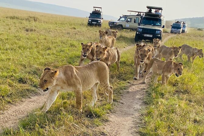 4 Days Tour Landcruiser in Masai Mara and Lake Nakuru - Day 1: Great Rift Valley views and the first Mara drive
