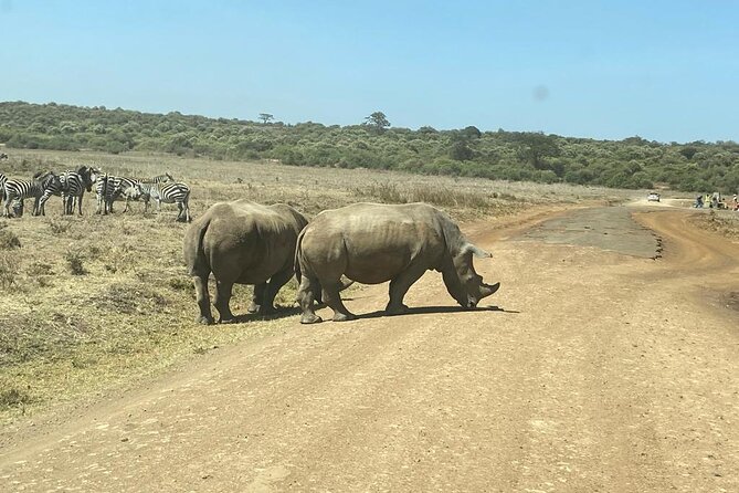 4 Days Tour Landcruiser in Masai Mara and Lake Nakuru - What the Land Cruiser setup means for you