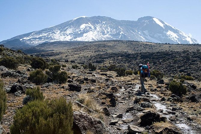 4 Days Trekking in Mount Kenya - Key Points Before You Book