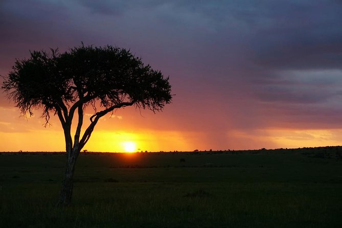 4 hours Nairobi National Park - Nairobi National Park in a four-hour window