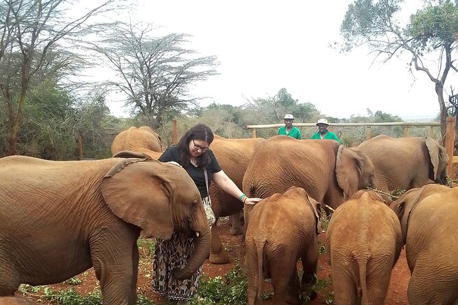 4 hours Nairobi National Park - Who will get the most from this outing