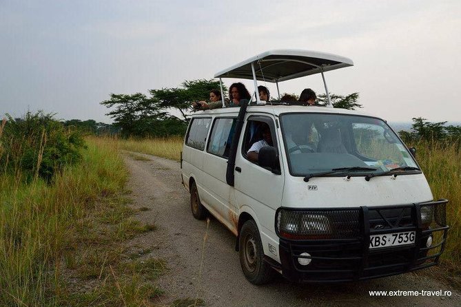 4 hours Nairobi National Park - Booking, weather, and cancellation details