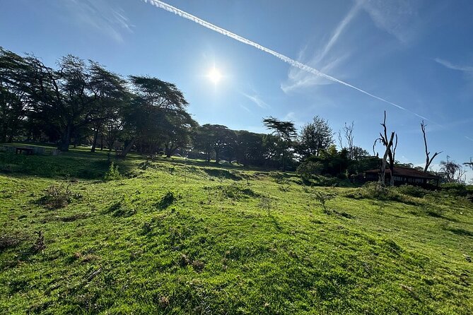 4day Maasai Mara, Lake Nakuru, and Lake Naivasha - Why the Maasai Mara gets the best time