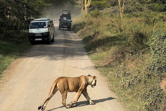 4day Maasai Mara, Lake Nakuru, and Lake Naivasha - What $1,750 really covers
