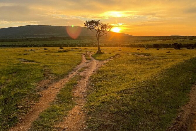 4day Maasai Mara, Lake Nakuru, and Lake Naivasha - Who should book this four-day route?
