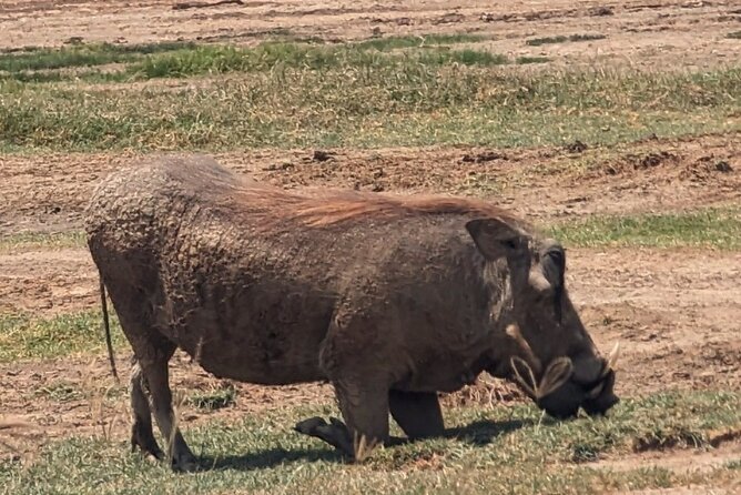 5 day Amboseli, Tsavo east and west expedition - Day One: Mombasa to Tsavo East