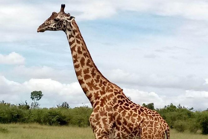 5-Day Crescent Island, Hell’S Gate, Naivasha, Amboseli National Park - What the $1,600 price represents